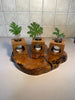 Minimalist Wooden Plant Propagation Station