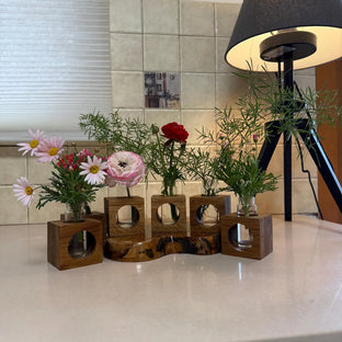 Minimalist Wooden Plant Propagation Station